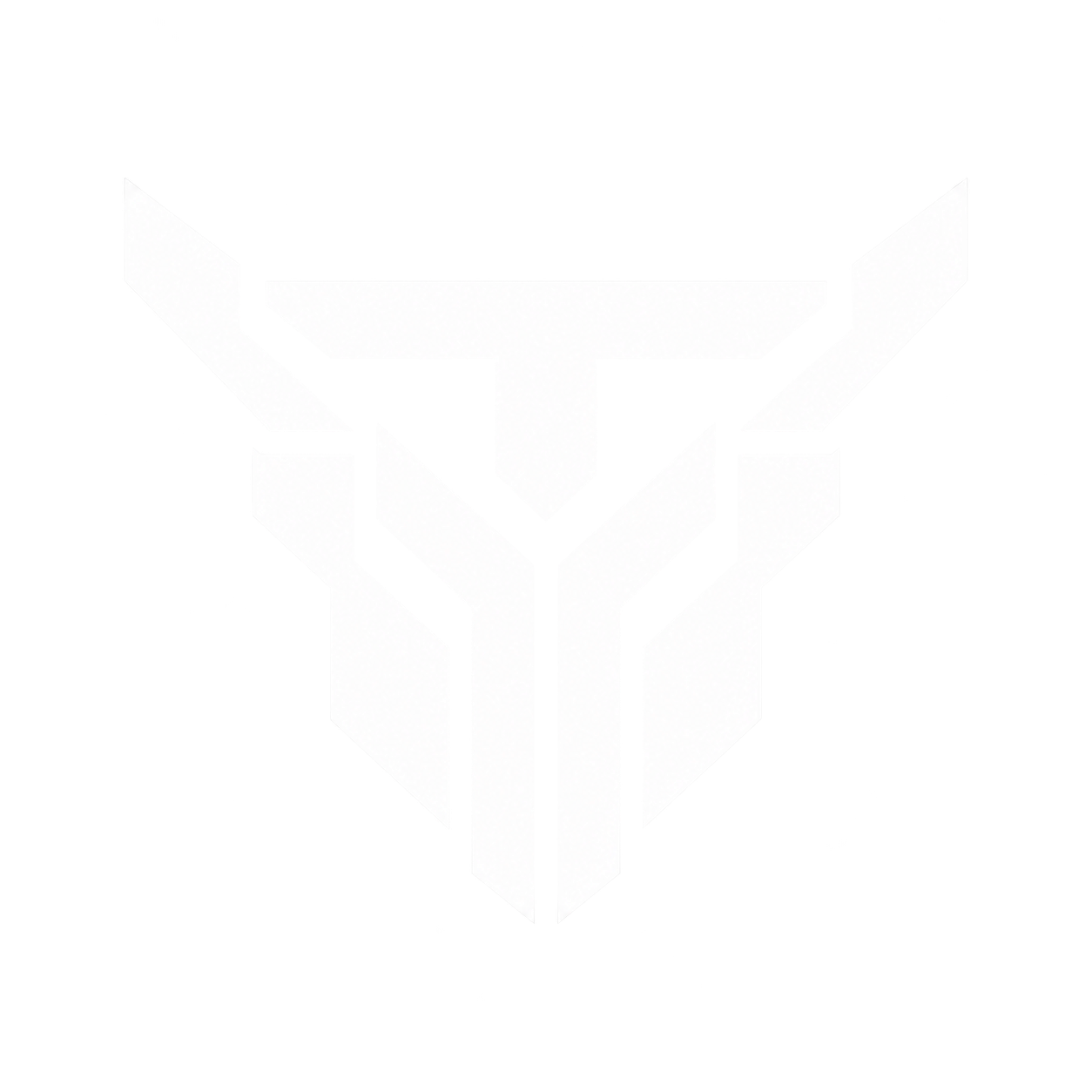 TY Logo